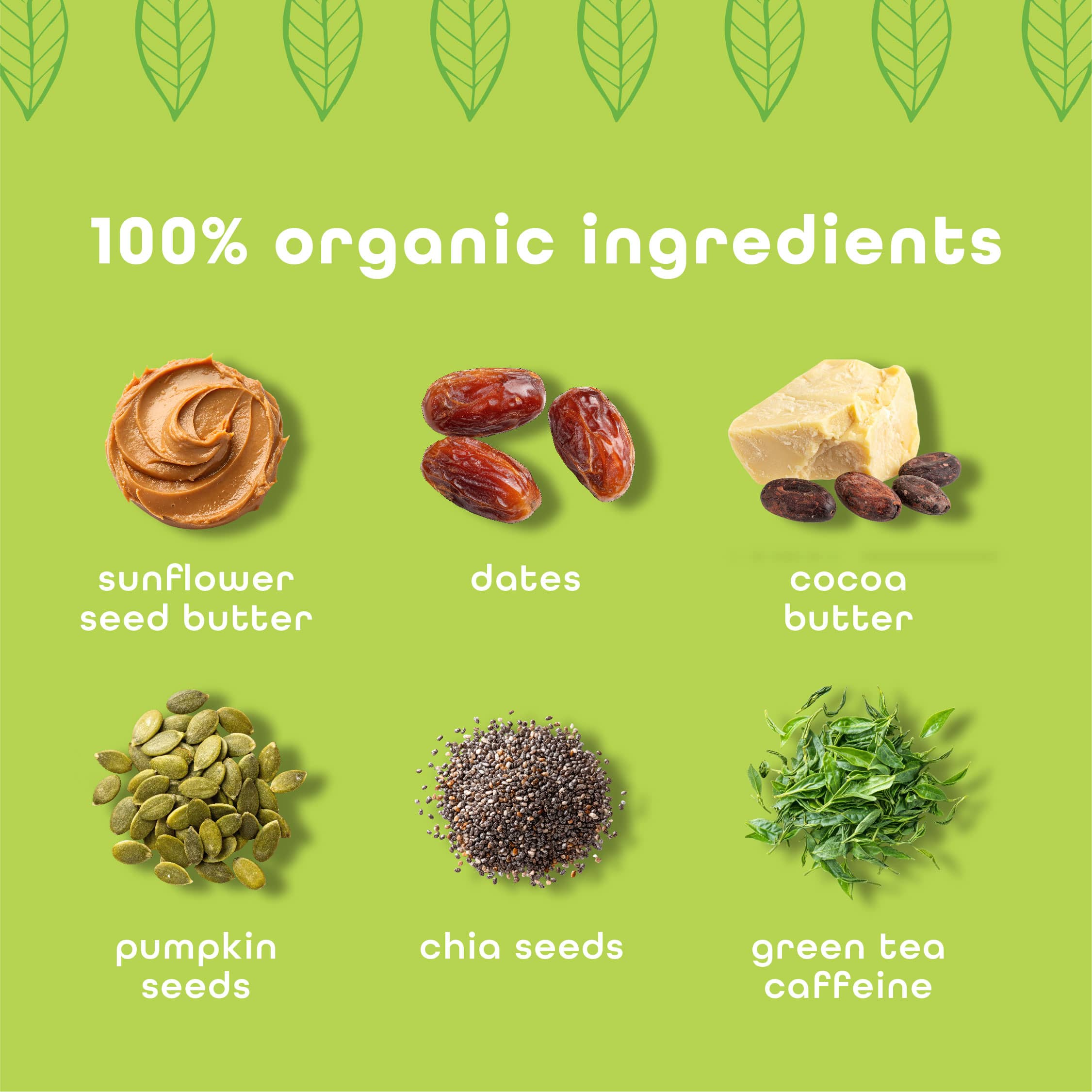 Feel Bars – Vegan Protein Bars | Matcha Latte – 10 Pack | 15g Plant Protein | +L-Theanine | Keto | Organic | Gluten Free, No Nuts, No Soy, No Dairy, No Grains