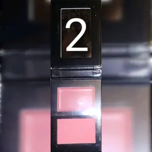BLUSH DUO (2)