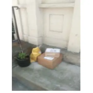review image 6
