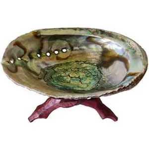 Abalone Shell Incense Burner With Stand 5"- 6"