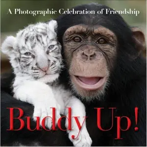 USED-Buddy Up! by Timmy the Turtle (Hardcover)