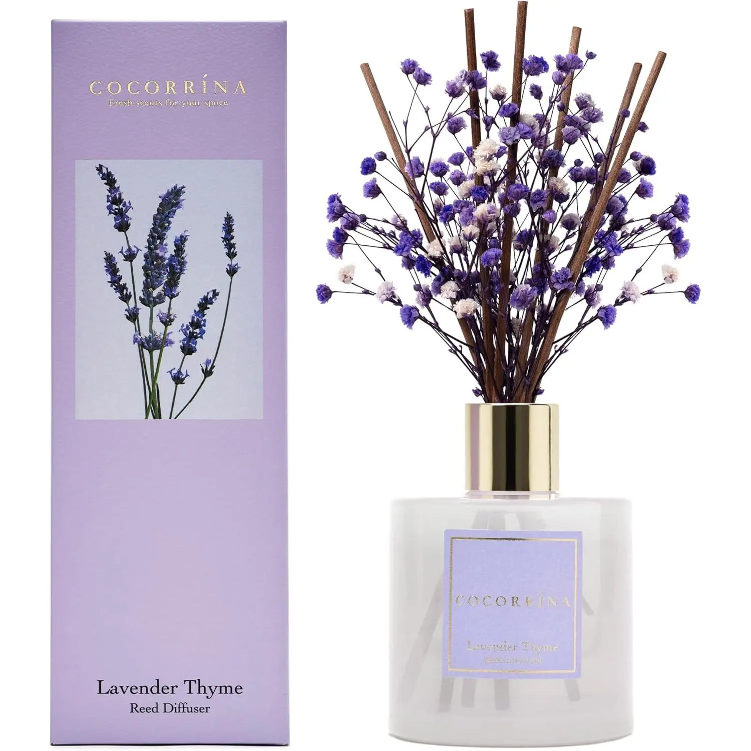 Cocorrína Premium Reed Diffuser Set - 6.7oz/1pack Decorative Floral Home Supplies, Scented Aroma Freshener with Preserved Baby’s Breath, Cotton Sticks, Lavender-Thyme Fragrance Oil for Bedroom, Bathroom Décor