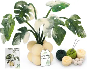Needle Felting Kit for Beginners, Monstera Potted Plant Felt Kit, Wool Felting Kit with Felting Needles, Felting Pad and Instructions, Perfect for Office Indoor Greenery Present Idea
