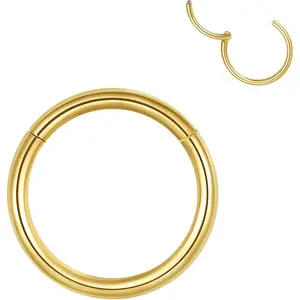 Hypoallergenic Hinged Hoop Nose Rings 20G 18G 16G 14G 12G 10G 8G Diameter 5mm to 16mm 316L Surgical Steel Septum Ring Body Piercing Jewelry Helix Cartilage Earrings