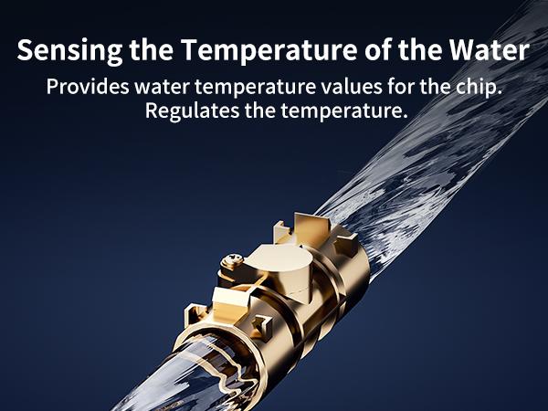 65,000 BTU RV Tankless Water Heater, High Altitude Available, 12V, CSA Certificated, with Multi-function Controller, On Demand Instant Hot Water Heater, Compatible with all RVs 65,000 BTU RV Tankless Water Heater, High Altitude Available, 12V, CSA Certificated, with Multi-function Controller, On Demand Instant Hot Water Heater, Compatible with all RVs