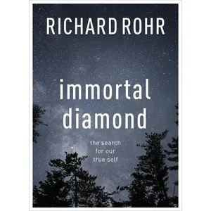 USED-Immortal Diamond by Richard Rohr (Paperback)