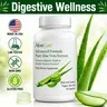 AloeCure Aloe Vera Capsules - 30 Organic Aloe Vera, Aloin-Free Dietary Capsules, Gluten-Free Vegetarian Digestion Aid for Gut Health, Stomach Acid Buffering & Immune Support, Gluten Free Supplement, Vegetarian Supplement, Healthcare