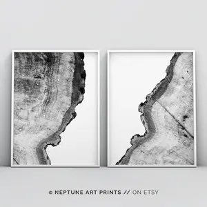 Tree Rings Print, Printable Pine Tree, Log Slice, Set of 2 Prints, Black And White Tree Print, Wood Prints, Anniversary Gift, Room Decor, Unframed