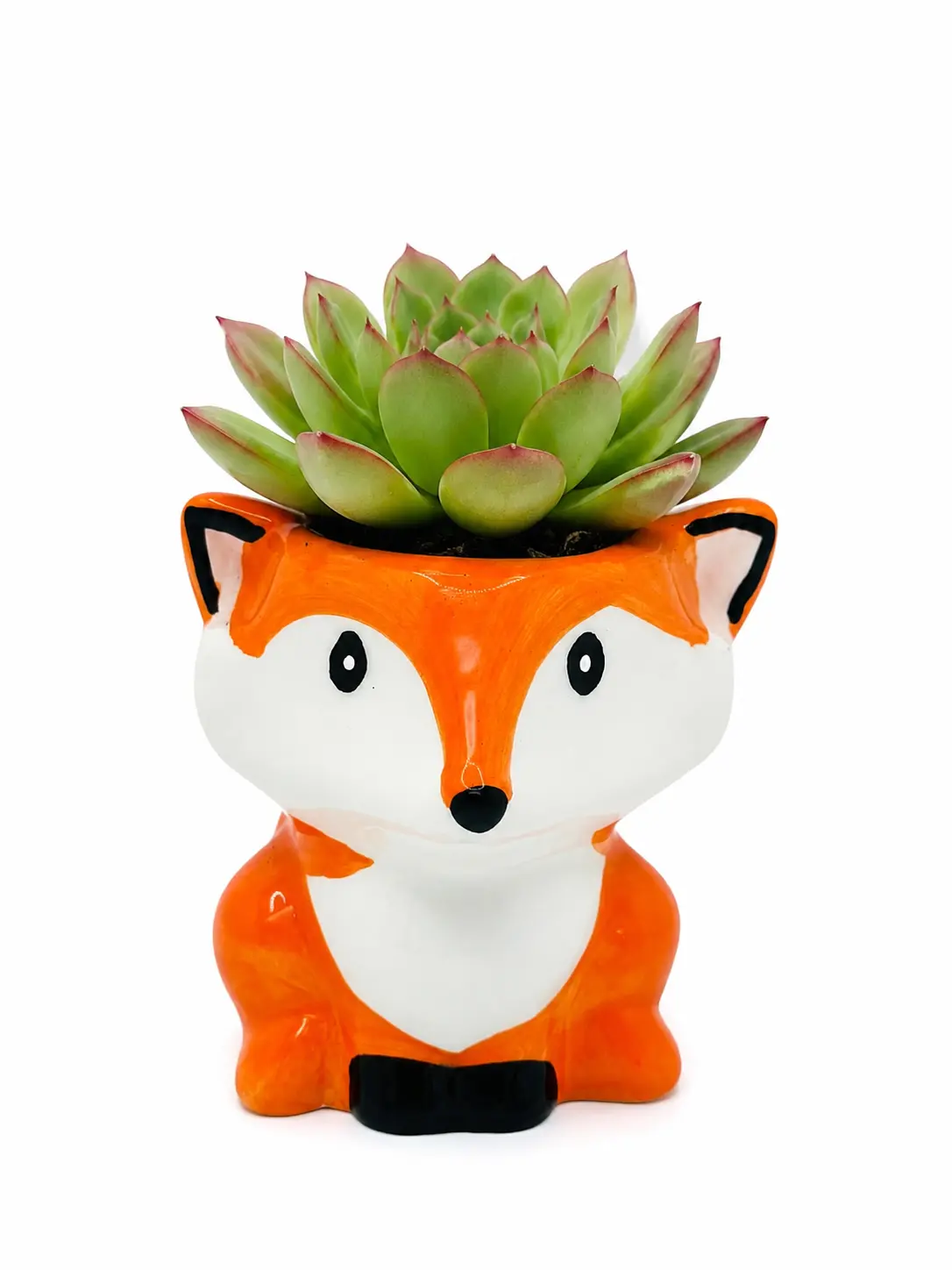 Cute Fox Ceramic Succulent Planter – 3 Inch Animal Flower Pot – Adorable Indoor Planter for Succulents, Cactus & Small Houseplants