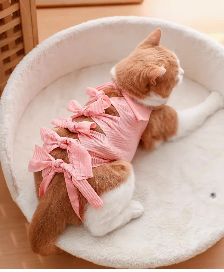 Pet Spay-Neuter Recovery Shirt for Cats & Small Dogs, Breathable Post-Operative Wound Protector, Prevents Incision Licking & Loose Hair Shedding