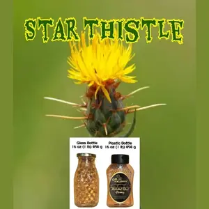 Oh Honey Please Natural Star Thistle Honey 16 oz Glass & Plastic Bottles Pure Raw Unprocessed Delicate Rich Flavor for Breakfast Granola Hot Tea