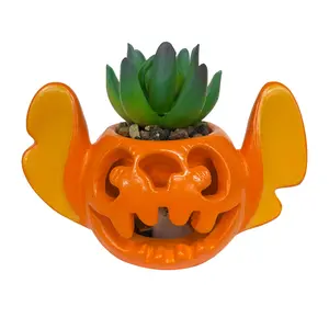 Stitch Light-Up Jack-O-Lantern Succulent