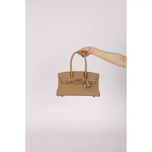 Pre-owned HERMÈS Designer Handbag/Wallet Limited Edition 2025 Poussière Evercolor Shoulder Birkin Light 29 Retourne PBHW