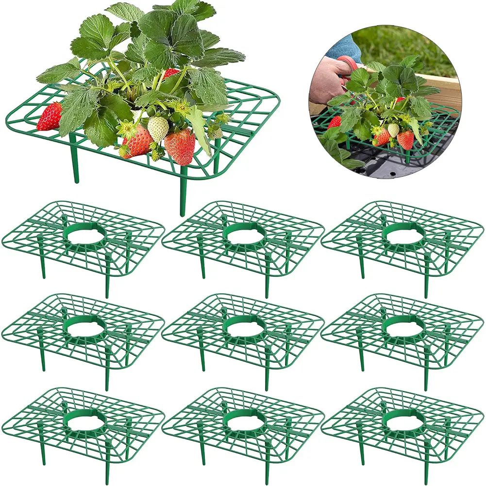 10 Pack Square Strawberry Supports, Durable Plant Support Rack, Plant Holders for Garden & Outdoor Use, Garden Supplies, Easy-To-Clean Design Keeps Strawberries Fresh, Gardening Supplies