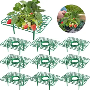 10 Pack Square Strawberry Supports, Durable Plant Support Rack, Plant Holders for Garden & Outdoor Use, Easy-To-Clean Design Keeps Strawberries Fresh