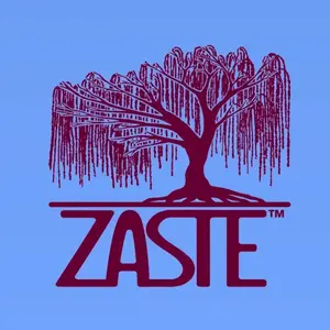 Zaste shop logo