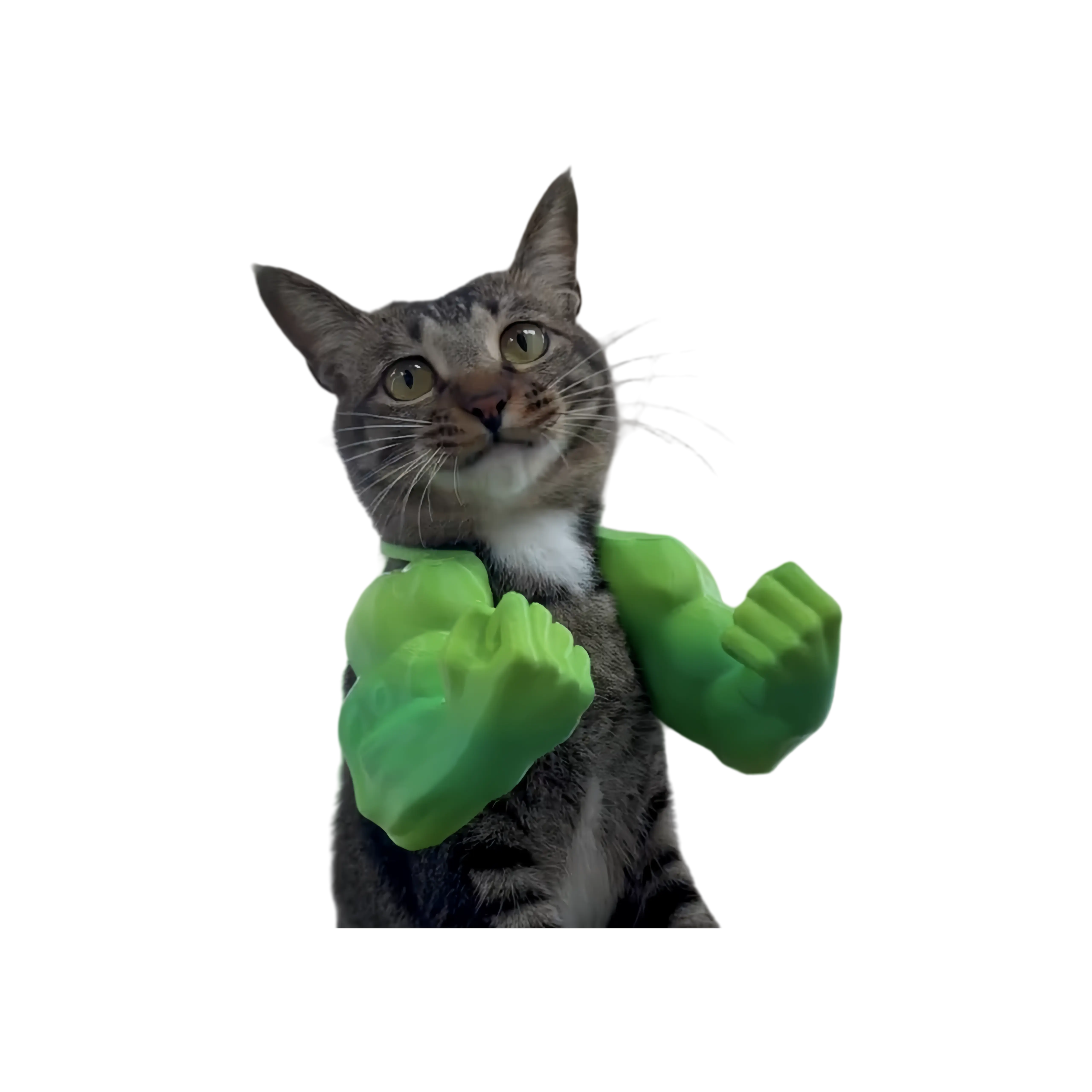 EBOSR Funny Pet Muscle Arms Costume - 3D Printed Prop for Cats & Small Dogs, Lightweight & Pet-Friendly Design, Perfect for Halloween & Costume Parties