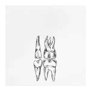 Dental Molar Illustration Tea Towel