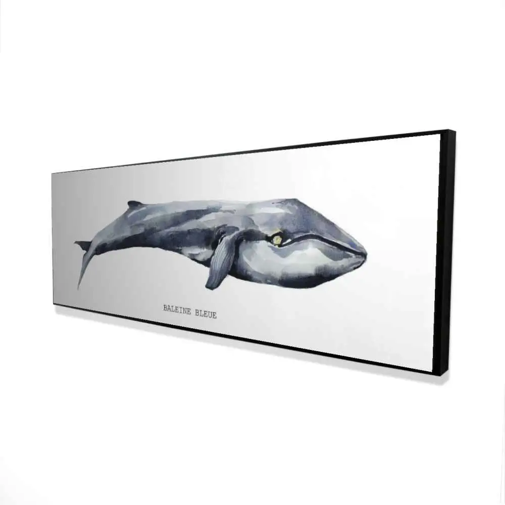 360 stand Coastal Whale Themed Artistic Framed Wall Print - 20x60 in. Decoration Artwork, Decorative Piece for Bathroom & Home Accents, Aquatic Wall Arts, Beach-Themed Wall Arts