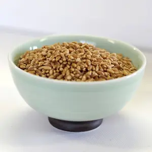 Rainy Day Foods Hard Red Wheat Natural Double Plastic 25 lb. Bag - 113 Servings
