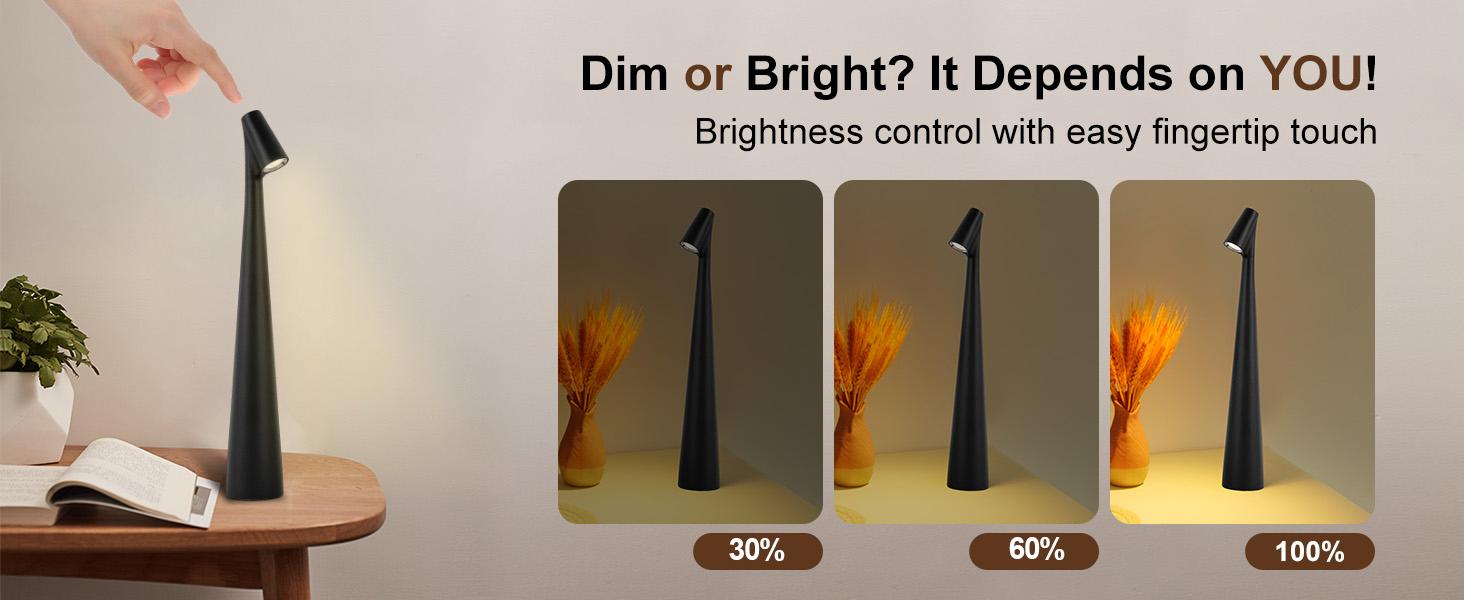 Rechargeable Touch Table Lamp, Waterproof Battery Operated Desk Light, 3 Level Dimmable Brightness for Bedroom Living Room Nightstand Reading home commercial use