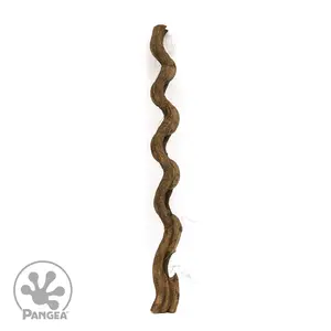 Jungle Wood Branch for Reptile Enclosures