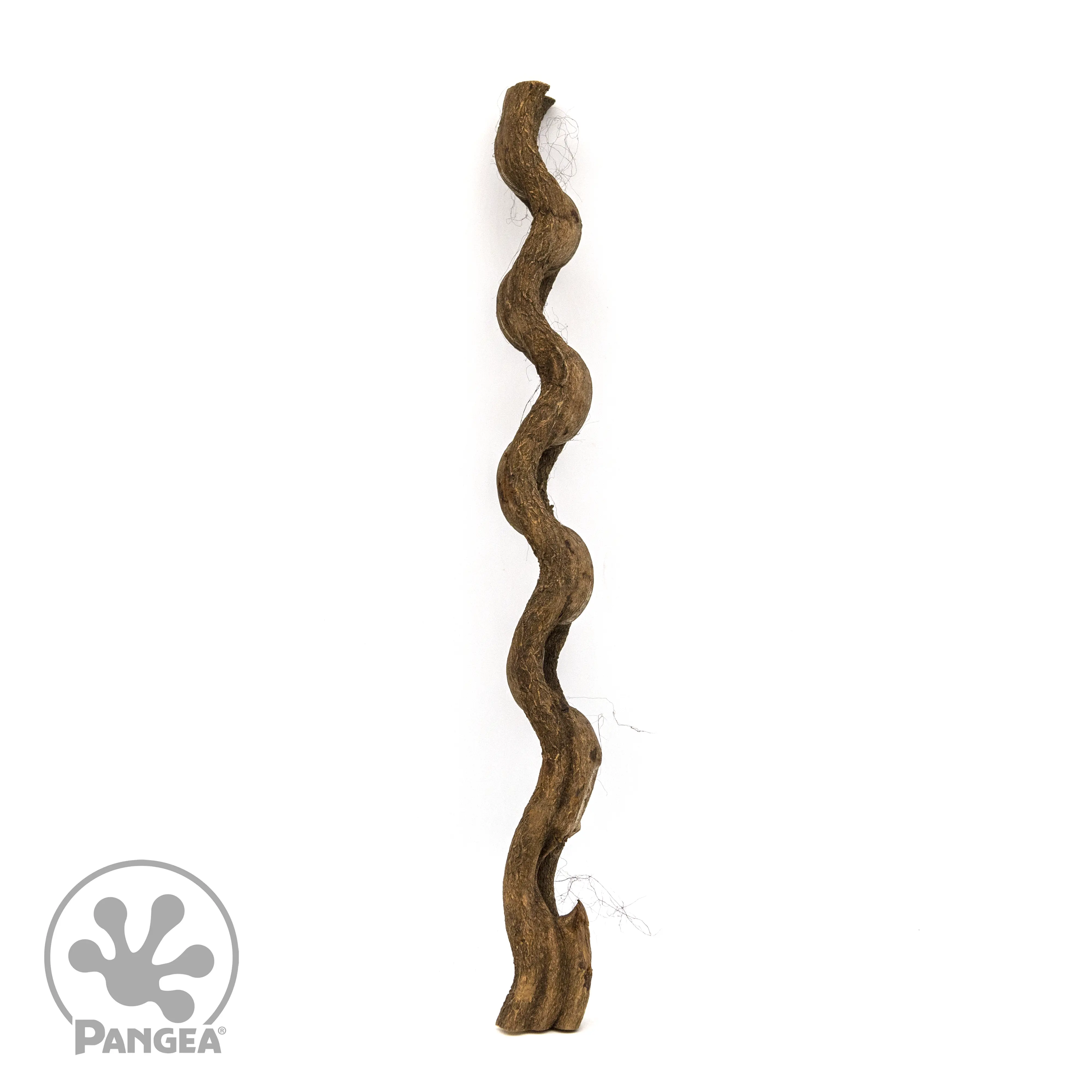 Jungle Wood Branch for Reptile Enclosures Jungle Wood Branch for Reptile Enclosures