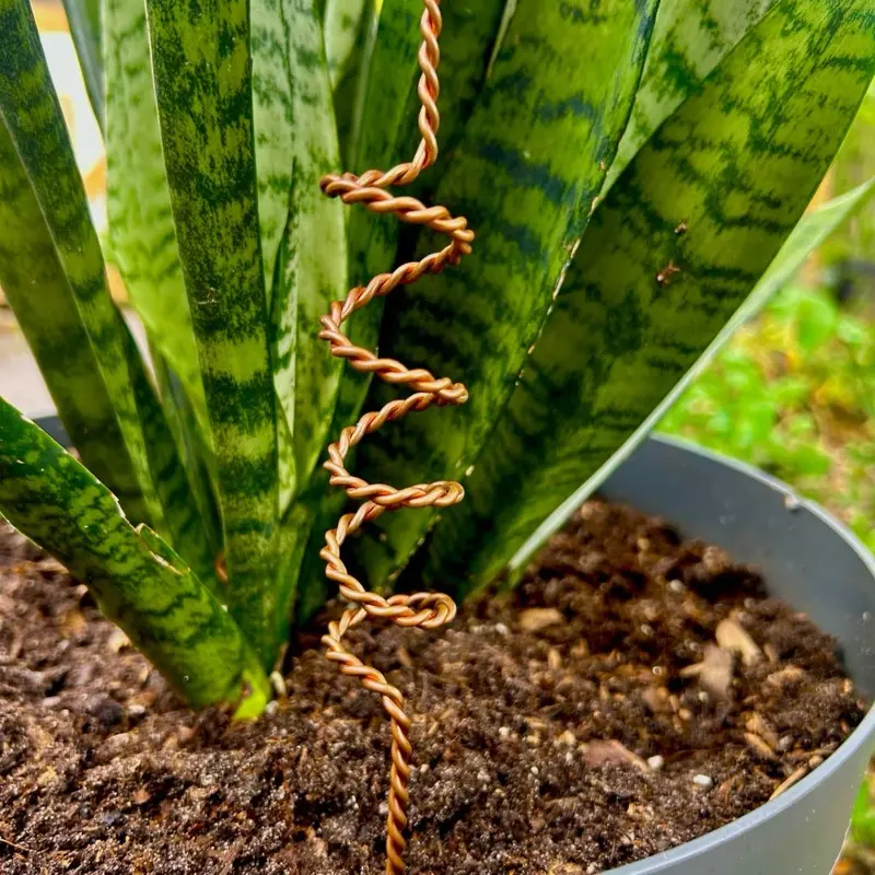 Garden Rod | 20.62 inches (52.37 cm) | Handmade Copper Spiral Coil