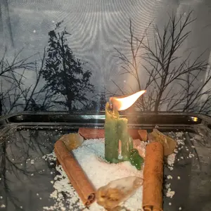Money Spell Candle