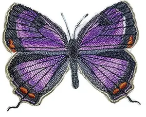 Custom and Unique Amazing Colorful Butterflies [Colorado Hairstreak] Embroidered Iron On/Sew Patch (3.7" x 2.86") Made in USA]