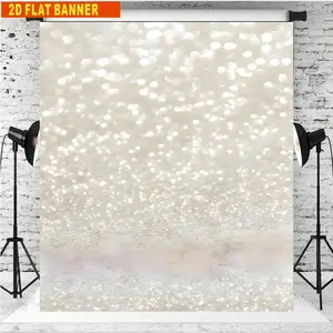 2D Plane Banner, Shimmering Portrait Background Board, Ideal for Studio Photography, Vinyl Prop, Model 202531927