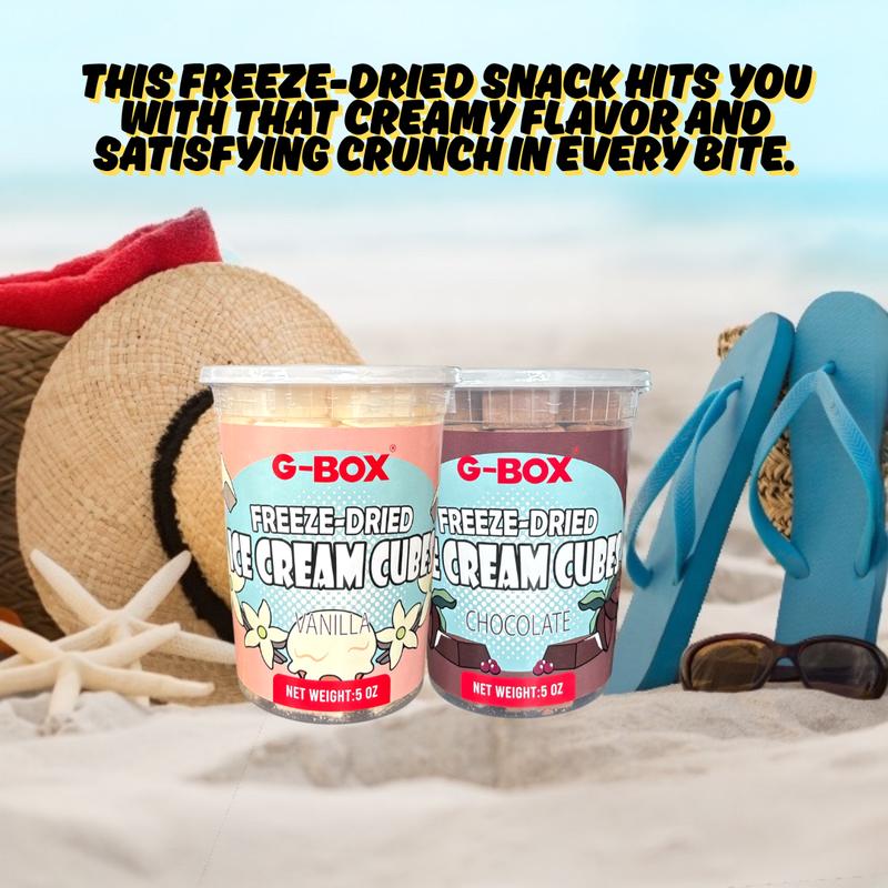 G-Box Freeze Dried Ice Cream Cubes in Air-tight Sealed Container | Vanilla | Chocolate | Snack Dessert