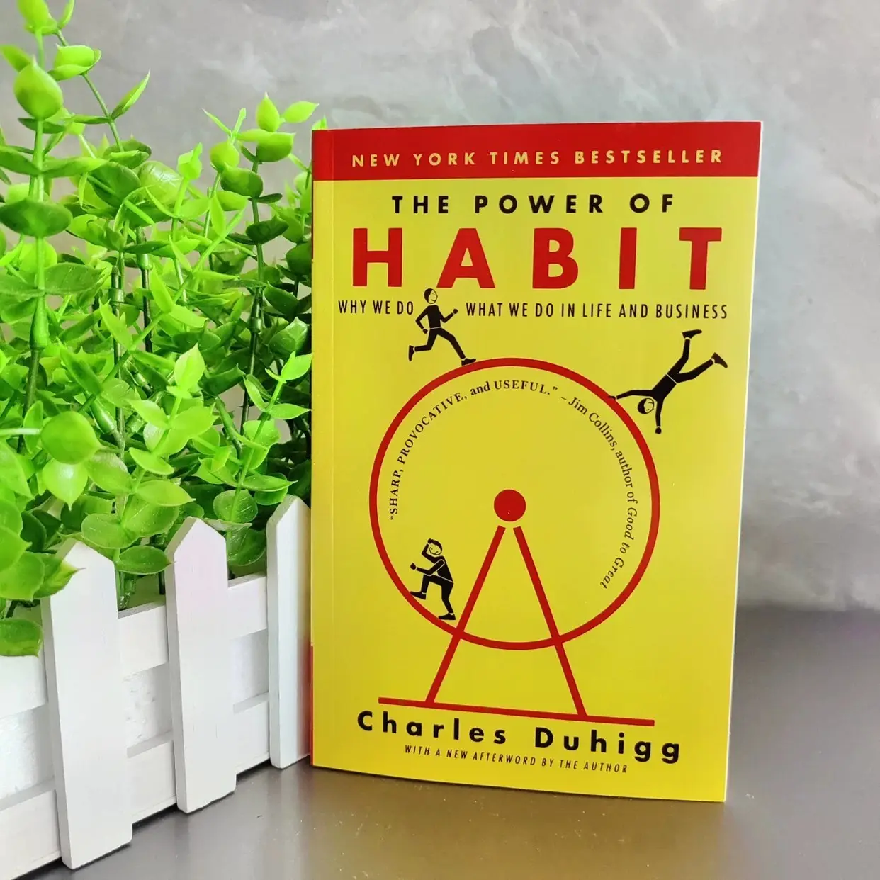 The Power of Habit Book, Original Edition, Self-Help & Personal Development, Improve Habits and Behavior, Must-Read Motivational Literature