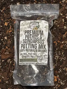 Pothos & Scindapsus Premium Potting Mix Pothos & Scindapsus Premium Potting Mix