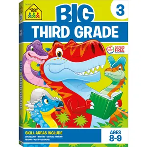 Big Third Grade Workbook