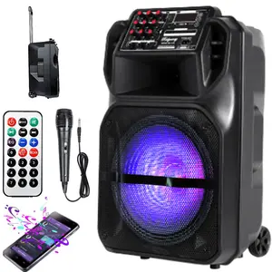 Portable Bluetooth Speaker 15” Subwoofer High Sound Quality DJ Party Tailgate Stereo Wireless PA Speaker With Microphone FM Radio LED Light