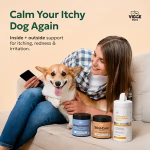 Vidge Pets Itchy Dog Bundle | Allergy, Skin & Coat Chews + Antifungal Wipes