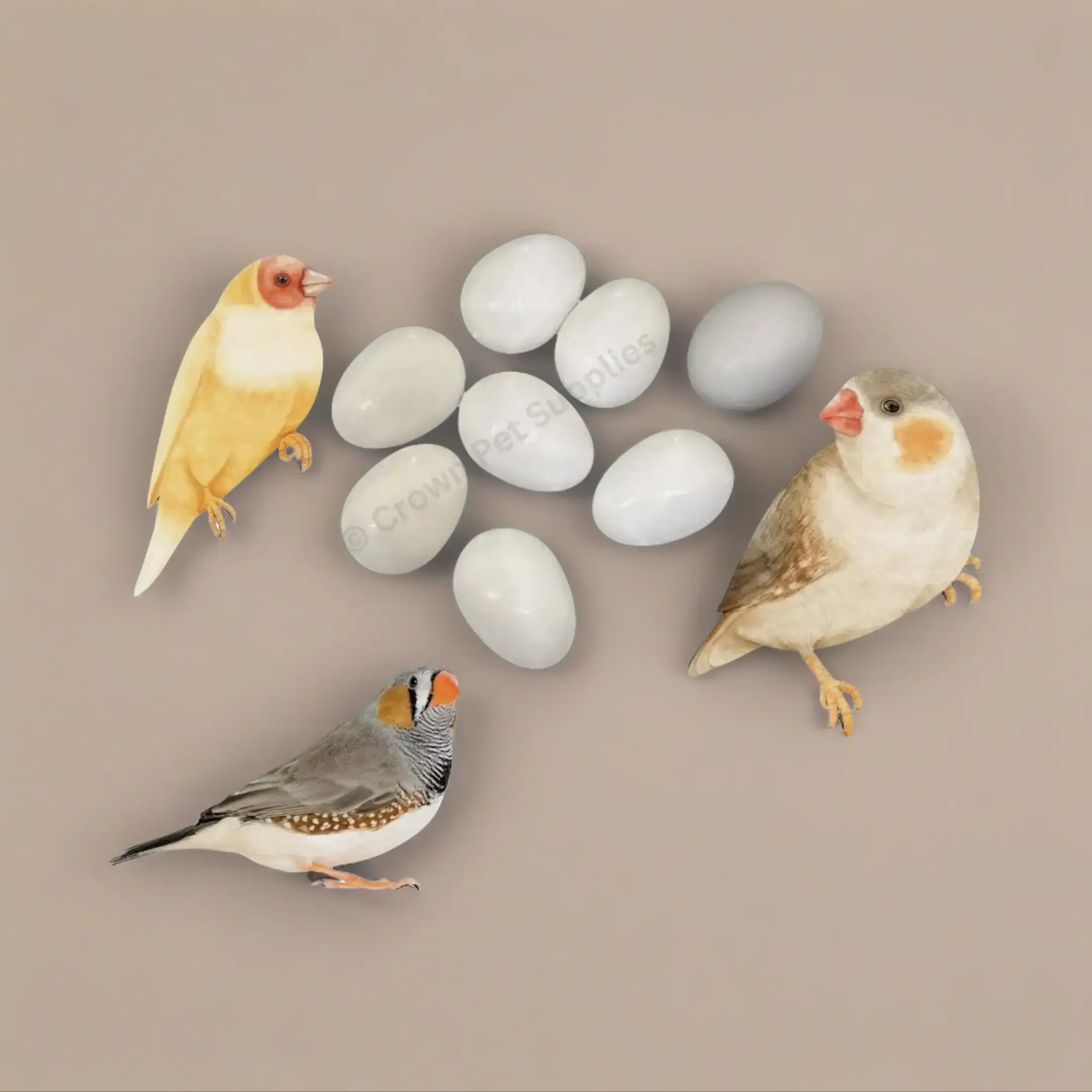 Finch FAKE EGGS Solid Plastic FOR Finches, Dummy STOP LAYING & BREEDING Ct 7