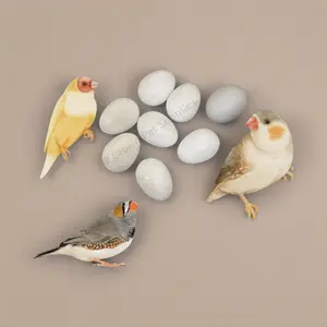 Finch FAKE EGGS Solid Plastic FOR Finches, Dummy STOP LAYING & BREEDING Ct 7
