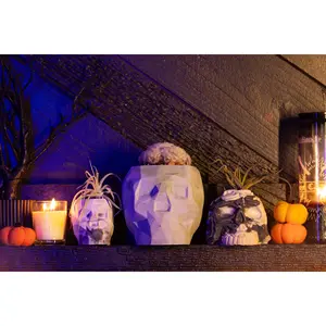 Halloween Skull Planter