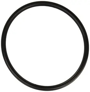 Hayward Lens Gasket | SPX0540Z2