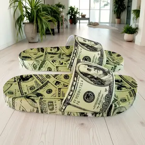 Men's Hip Pop Graphic Slides Walking Shoes Boys, casual, comfortable slippers, Dollar bills graphics