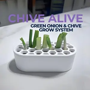 Amaryllis Bulb Set, Easy-To-Plant Amaryllis Bulbs, Perfect for Home Gardening, Ideal for Balcony & Small Spaces, Fast Growing Onions