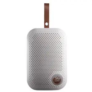 Portable Dehumidifier Multifunctional Moisture Absorber for Car Bathroom Bedroom Wardrobe Shoe Cabinet and Rainy Season