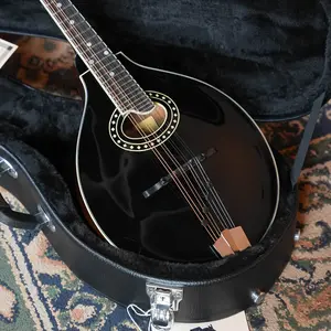 Eastman MD404-BK Spruce/Mahogany A-Style w/ Oval Hole Mandolin #4073