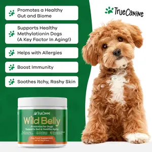 TRUECANINE Wild Belly Probiotics for Dogs – 8-Strain Formula for Joint Support, Mobility, Digestive Health & Skin Wellness – Natural Bacon Flavor