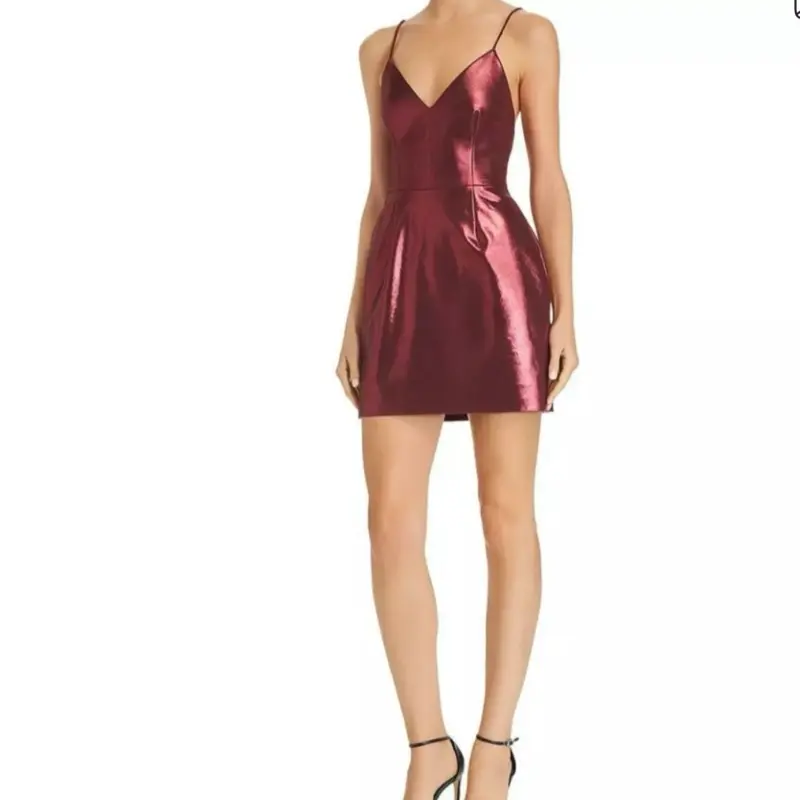 Ronny Kobo Mirabelle Metallic Dress - Burgundy V-Neck Spaghetti Strap Mini Dress for Women