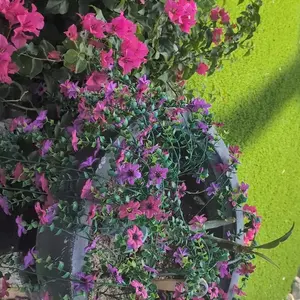 6-Pack Outdoor Artificial Hanging Six Ear Orchid Flowers, Bright Long-Lasting Colors, Indoor & Outdoor Decoration, Perfect for Gardens & Window Sills