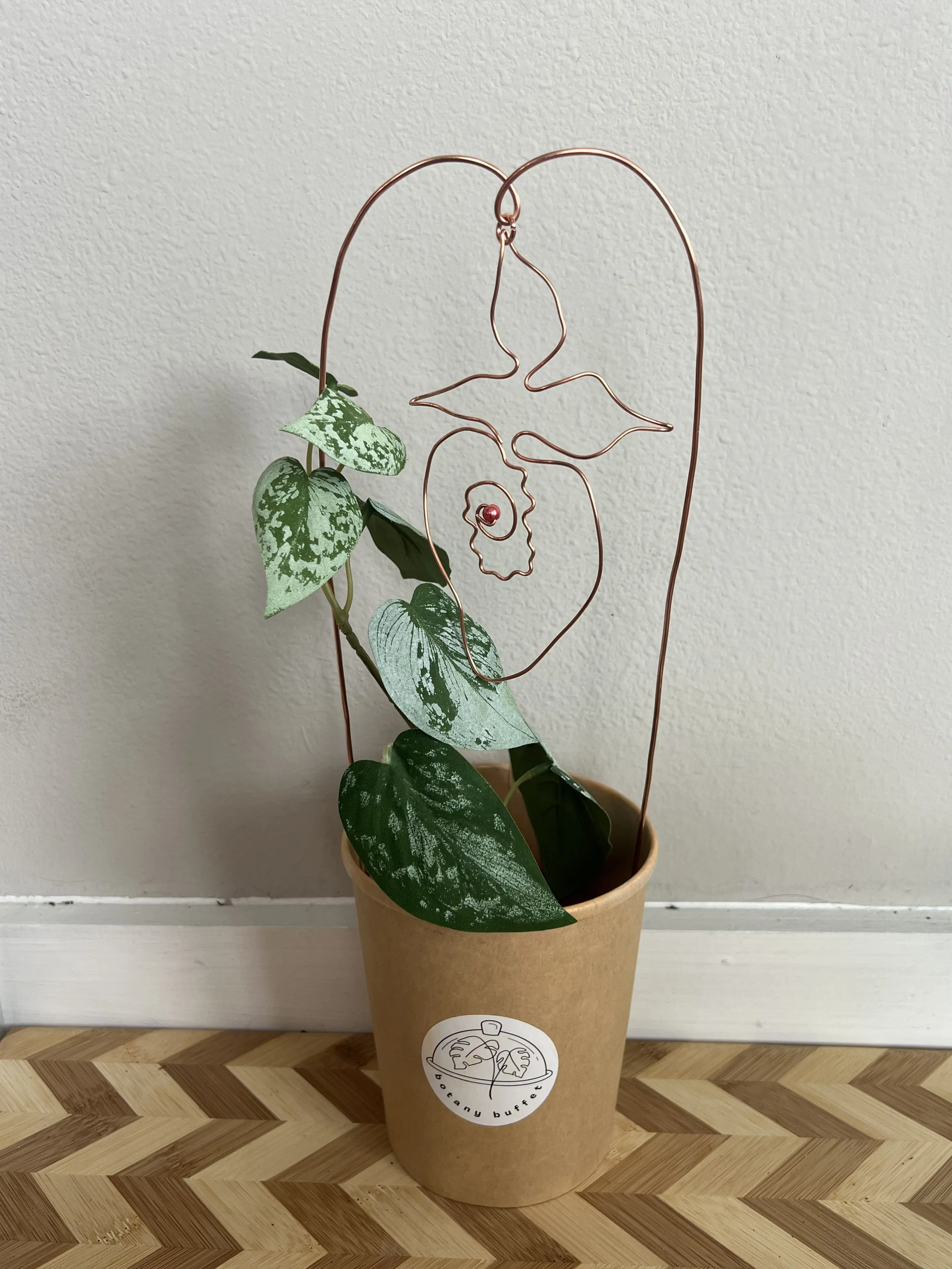 Sapphic Strawberry Plant Trellis