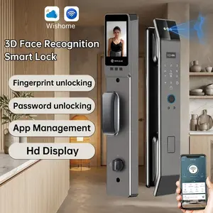 Luxury 6068 Mortise Smart Lock for Heavy Front Door, Touchless Palm and Face ID Biometric Deadbolt, Works with Wishome